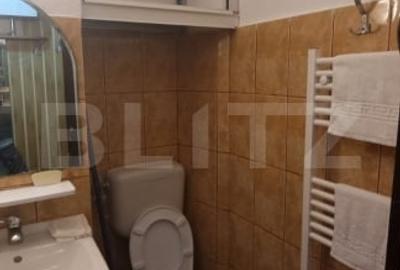 Apartament 2 camere, 32 mp, zona Tatarasi - 8