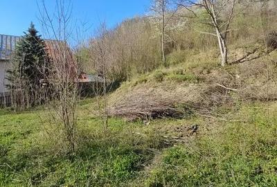 Teren în Brebu - 12