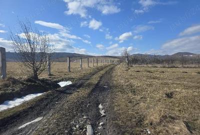 Teren de 3600 mp, în Central - 3