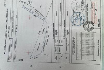 Teren de 22000 mp, în Livada - 4