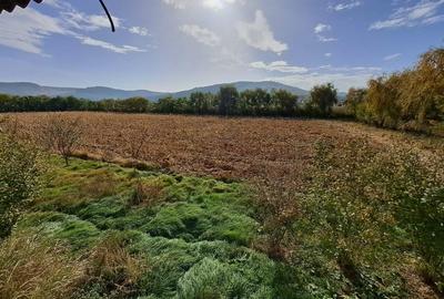 Vând teren intravilan l in suprafața 19000 mp. și hala - 1
