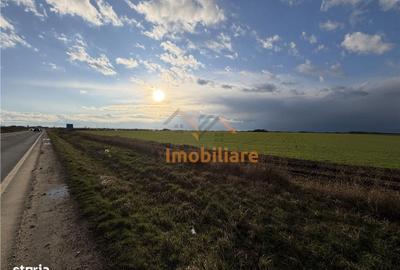 Teren de 24457 mp, în Nojorid - 3