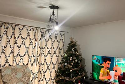 Vand casa + apartament in aceeasi curte - 5