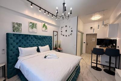 Garsoniera ideala pentru investitie + loc de parcare, Metalurgie - Iasi - 10