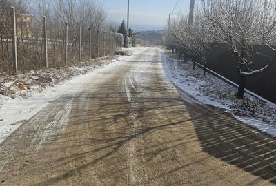 Spațiu comercial, în Tomești - 16