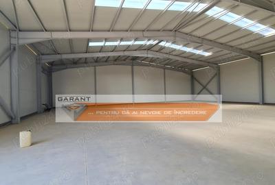 Hala Industriala, depozit, Bradu, DN 65B, S=585 mp, H=6 m - 2