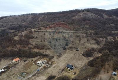 Teren Construcții intravilan de 999 mp, în Florești - 17
