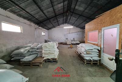 Hala in Campina, 280 mp ,teren total 388 mp,utilitati ! - 6