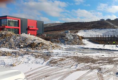 Teren Construcții intravilan de 4653 mp, în Vișan - 2