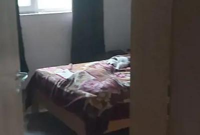 Casă cu 3 camere cu Teren 400 Mp în Săcălaz - 1