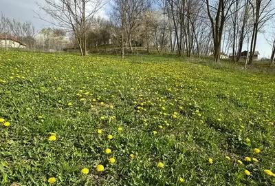 Teren intravilan de 2211 mp, în Sultanu - 2