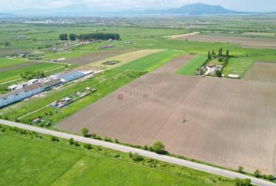 Teren Intravilan - 12