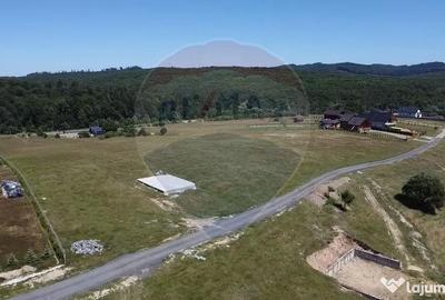 Teren de 3322 mp, în Paltin - 11