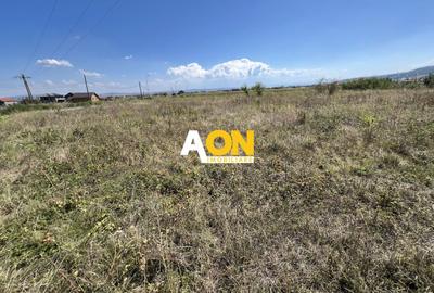 Teren Construcții intravilan de 310 mp, în Micești - 2