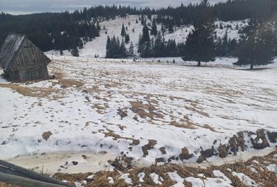 Vand teren intravilan muntele rece - 5