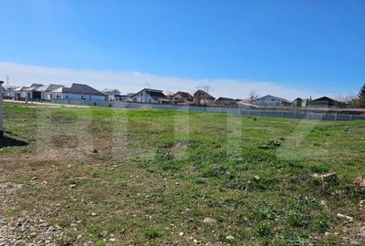 Teren intravilan destinatie construire, Targoviste Vest - Ca - 4