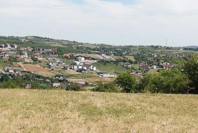 Teren agricol extravilan de 10480 mp, în Săldăbagiu de Munte - 2