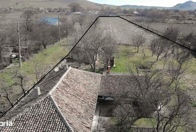 Spațiu comercial, în Cerna - 2