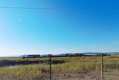 Teren  si lac in Harman - 3