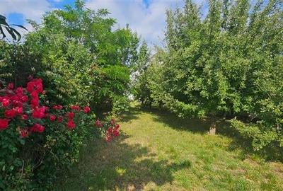 Casă individuală cu 4 camere cu Teren 2400 Mp în Osoi (Comarna) - 13