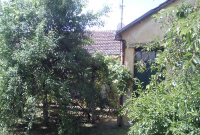Casă cu 4 camere cu Teren 4000 Mp în Vinga - 2