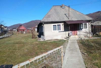 Casă cu 3 camere în Vișeu de Jos
