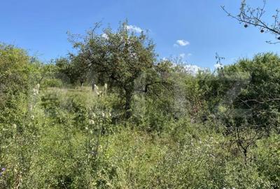 Teren de 3800 mp, în Recea - 5