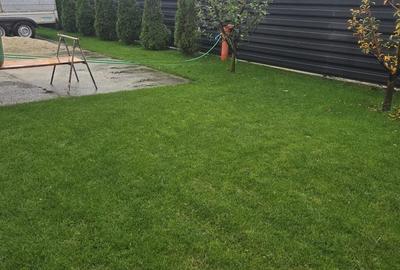 Casă cu 4 camere cu Teren 1600 Mp în Dragodana - 4