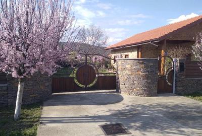 Casă individuală cu 3 camere în Mihăești - 10