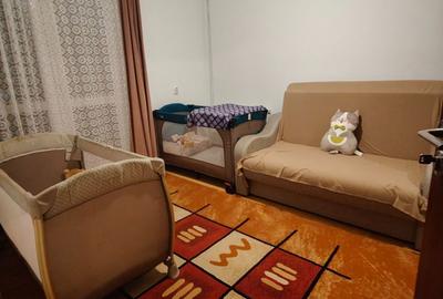 Apartament cu 2 camere semidecomandat în Săsar - 3