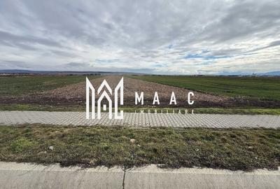 Teren Construcții intravilan de 9600 mp, în Șura Mică - 2
