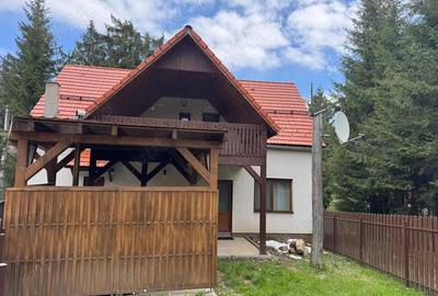 Vila de vanatoare in Santimbru-Bai - 1