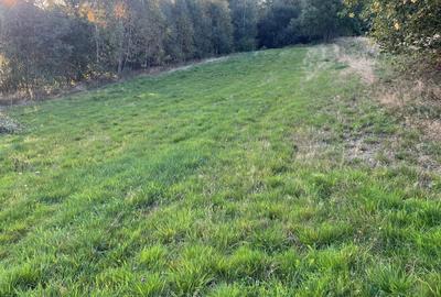 Spațiu comercial, în Dealu Mare - 4