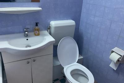 Apartament cu 3 camere semidecomandat, mobilat în Tineretului - 14