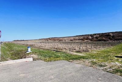 Spațiu comercial, în Mâsca - 1