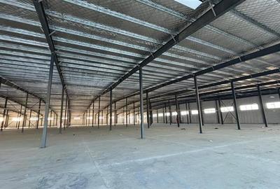 Spațiu comercial, de 2,000 mp, în Afumați - 2