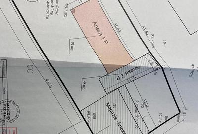 Casă cu Hală și Anexe –  Potențial Mare pentru Afacere! Biled strada principala! - 18