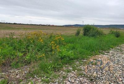 Teren Osorhei, Str. 610 - 3