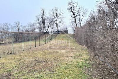 Duplex cu 4 camere cu Canalizare în Cărpiniș - 16