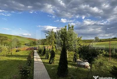 Casă cu 2 camere cu Teren 1751 Mp în Bogata - 9