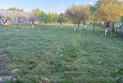 Casă cu 3 camere în Bușag - 6