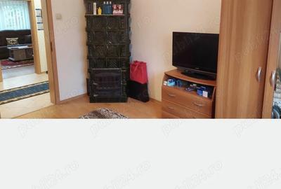 Casa de vacanta in comuna Dorobantu, judetul Calarasi - 3