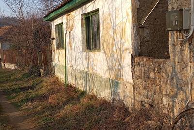 Vand casa in Sasca-Montana - 2