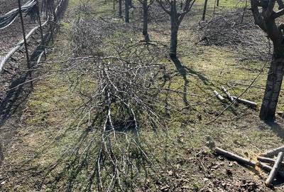 Casă cu Teren 2500 Mp în Berceni
