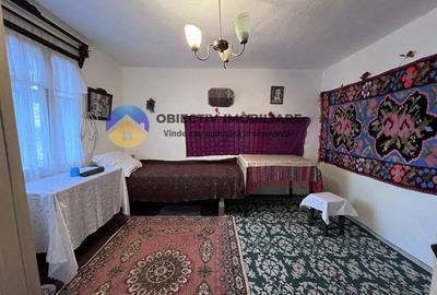 Casă cu 2 camere cu Teren 3054 Mp în Negrești (Dobreni) - 12