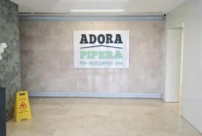 Apartament 2 camere cu gradina privata| loc pqrcare inclus | Adora Pipera - 3