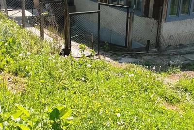 Casă cu 3 camere cu Teren 900 Mp în Telciu - 9