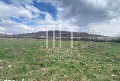 Spațiu comercial, în Gușterița - 2