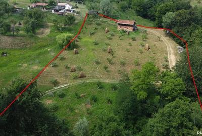 Teren de vanzare in comuna Cicane?ti, sat Bara?ti, Judet Arges. - 2