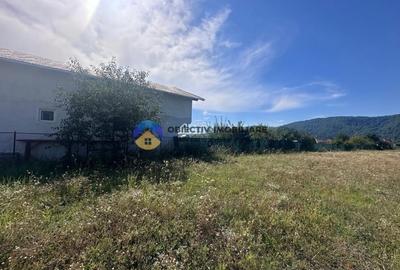 Teren intravilan de vanzare - 1.688 mp, Dumbrava Rosie - 3